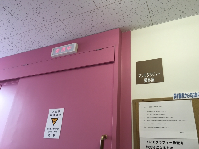 だいたひかる 現在モテる女から乳がん闘病中の努力家へ!現在でもモテる秘訣と乳がん闘病生活の陰にある愛に迫る!