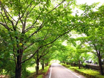 小林麻央 病状の深刻度は6月も変わらず!しかし、ブログでの顔写真掲載か数から、「癌に隠れない小林麻央さん」を見ることができた!200