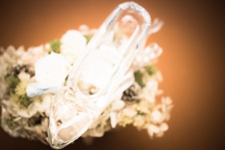 小林麻央 アメンバー限定 シンデレラの内容のネタバレを書ける範囲で!だからシンデレラの画像の掲載、検索はしないでほしい・・・