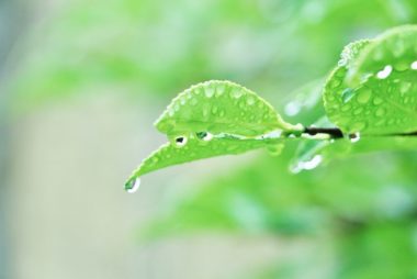 出光元 俳優の肺腺がんステージは4だったのか?名俳優を襲った肺腺がんに迫る!