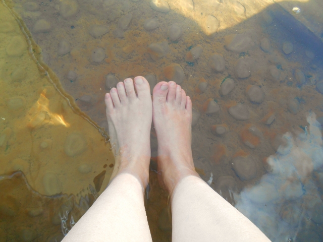 小林麻央 酵素風呂が棺桶みたいだと話題に 果たして酵素風呂は末期ガンに効果があるのか Exile C