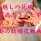 8年越しの花嫁　中原尚志さんと麻衣さんの結婚式動画で涙が止まらない！